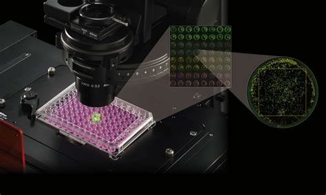 High Throughput Imaging Life Sciences Solutions Nikon Instruments