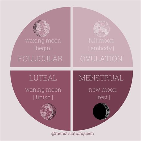 Phases Of The Moon And Woman Womb Healing Menstrual Menstrual Cycle