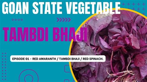 GOAN TAMBDI BHAJI STATE VEGETABLE OF GOA RED AMARANTH TAMBDI