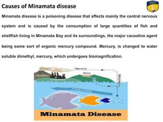 A case study on minamata disease-By Ritu Chauhan | PPT