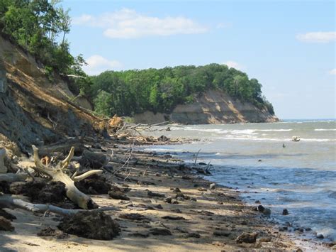 Calvert Cliffs State Park ~ Cliffs & Canyon