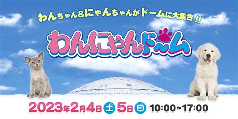 【春ペポニ】草食いやし系ネズミ 名古屋のペットショップ【リミックス・ペポニ】