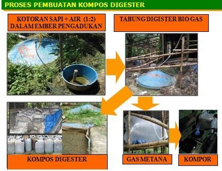 Cara Membuat Biogas Dari Kotoran Sapi Save Our Earth