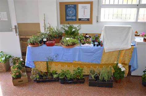 Mercadillo Solidario En La Parroquia De Nta Sra De Los Desamparados