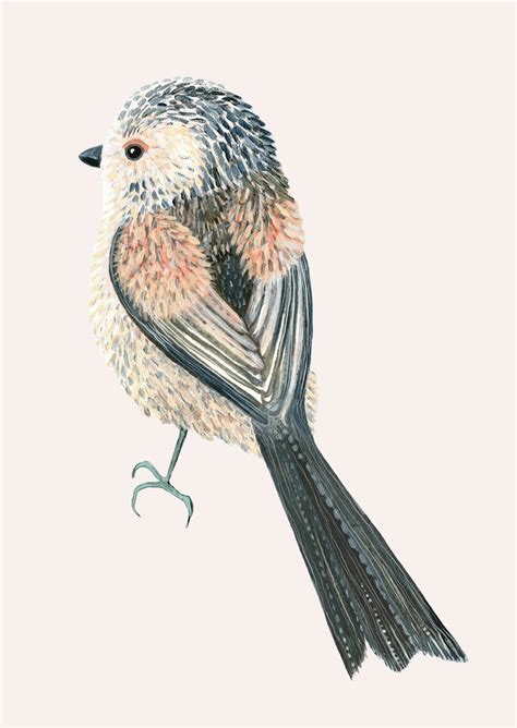 Long Tailed Tit Bird Artist Print By Susie Hamilton Etsy