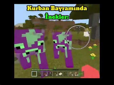 Kurban Bayraminda Inekler YouTube