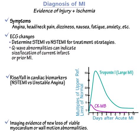 Pathology Glossary: Myocardial Infarctions: Symptoms, Diagnosis ...