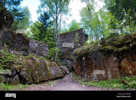 Ruins of Adolf Hitler's personal bunker in Wolfsschanze, Wolf's Lair ...