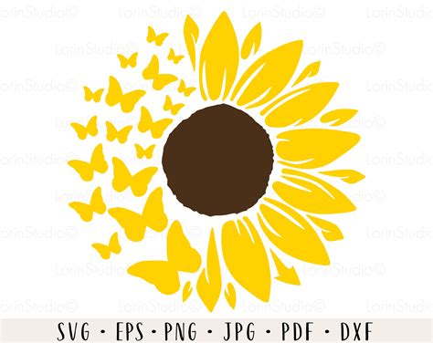 Sunflower Butterfly Svg Sunflower Svg Butterfly Svg Sunflower Etsy