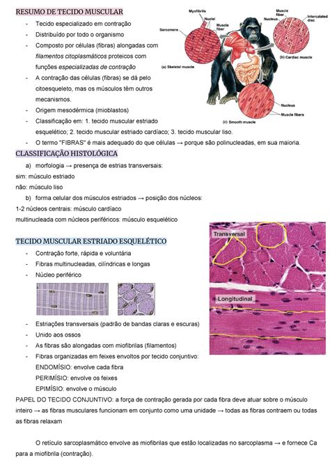 Resumo De Histologia Tecido Muscular RESUMO DE TECIDO MUSCULAR