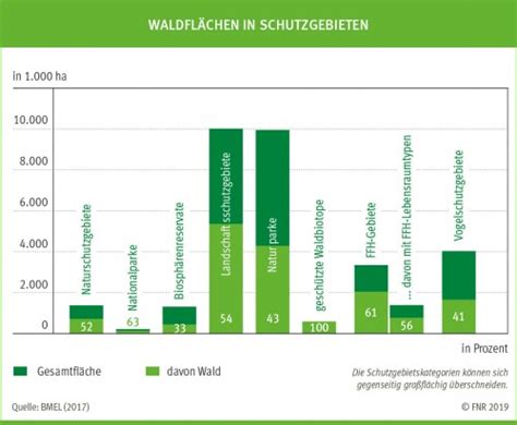 Waldnaturschutz Forstwirtschaft In Deutschland