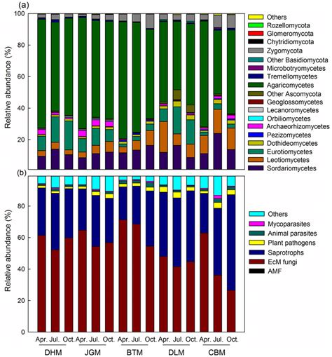 Relative Abundance Of The Major Taxonomic Groups A And Functional