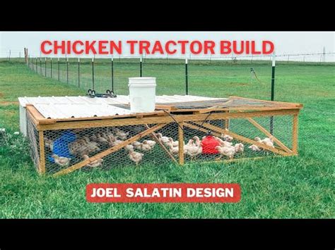 Pasture Broiler Chicken Tractor Joel Salatin YouTube