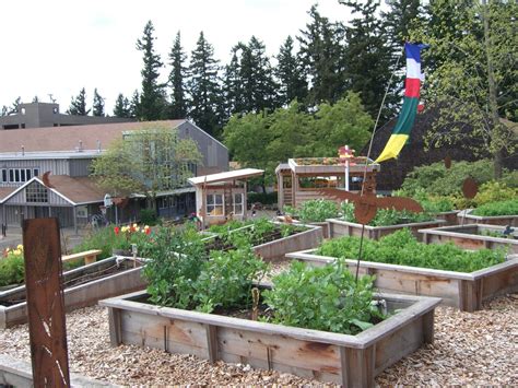 School Garden Ideas