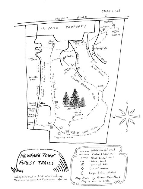 Map I Created For The Newfane Town Forest I Designed The Blue Beech