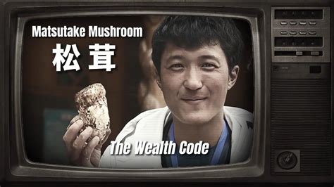 Unveil Wealth Code Of Villagers In Shangri La Town Daocheng China