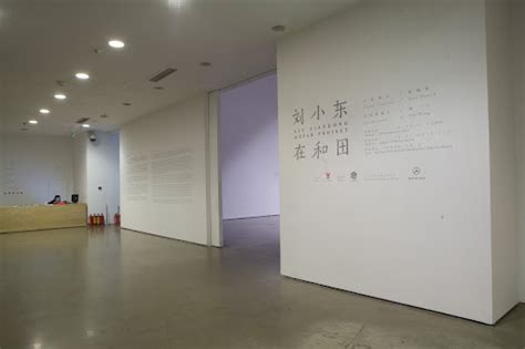 Liu Xiaodongs Hotan Project Exhibition Scene Liu Xiaodong Google