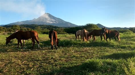 Free Images Landscape Tree Grass Mountain Sky Field Farm