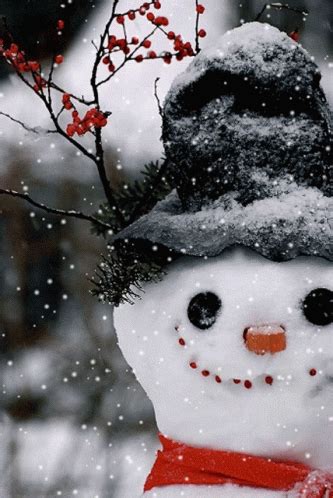 Snowman GIF - Snowman - Discover & Share GIFs