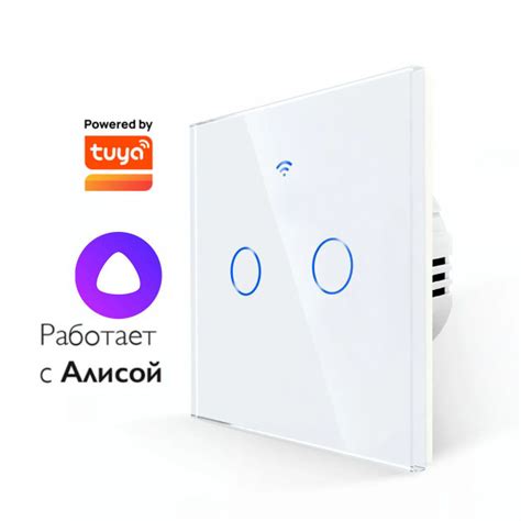 Умный выключатель сенсорный двухклавишный белый купить на OZON по ...