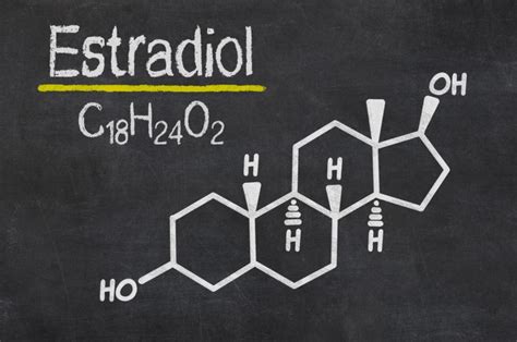 Estradiol - za co je, za co je hormon zodpovědný, jak určit normu: zda ...