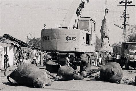 35 Years Of Bhopal Gas Tragedy Shocking Photos From 1984 Indiatoday