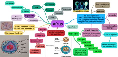 Mapa Conceitual Sobre Virus Librain