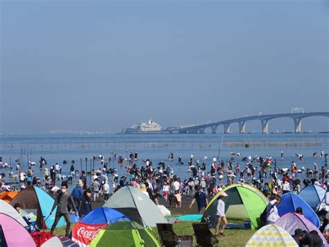 潮干狩り／金田みたて海岸｜イベント｜千葉県公式観光サイト ちば観光ナビ