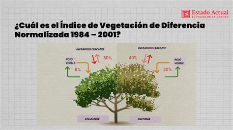 Video Cuál es el Índice de Vegetación de Diferencia Normalizada 1984