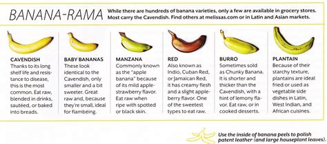 Banana Varieties (Source: Coastal Living Magazine) | Nutrition ...