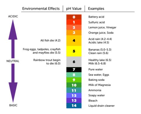 Ph Of Orange Juice