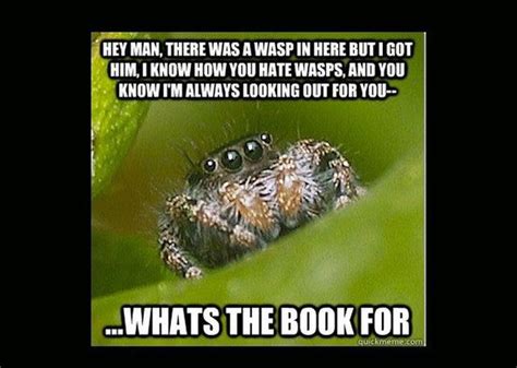 1000+ images about happy spider memes on Pinterest | Spider meme ...