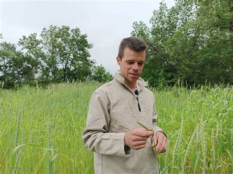 Les Semences Paysannes Cl De Vo Te De La Transition Agro Cologique