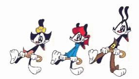 Wakko Warner Wakko Warner Cartoon Discover Share GIFs