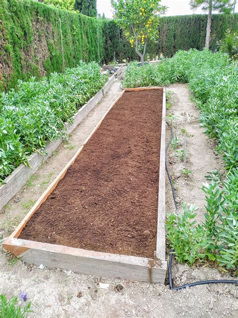 Nuestro humus de lombriz en tu huerto en casa hará maravillas descubre