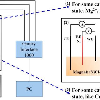 Schematic of experimental setup three-electrode electrochemical cell ... 