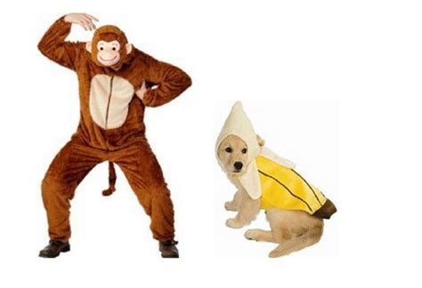 The 10 Best Halloween Costumes for Dogs & Owners - American Kennel Club