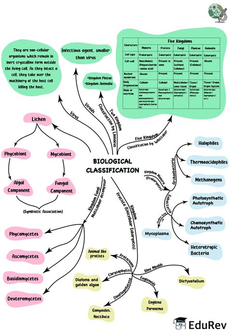 Mind Map Biological Classification Notes Study Biology Class 11 NEET