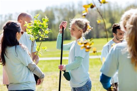 Concepto De Voluntariado Caridad Personas Y Ecolog A Grupo De