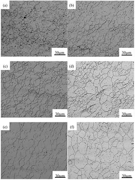 Metals Free Full Text Hot Deformation Behavior And Constitutive