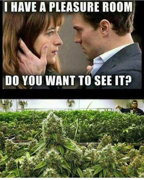 Funny Weed Memes