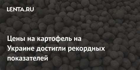 Цены на картофель на Украине достигли рекордных показателей: Украина ...