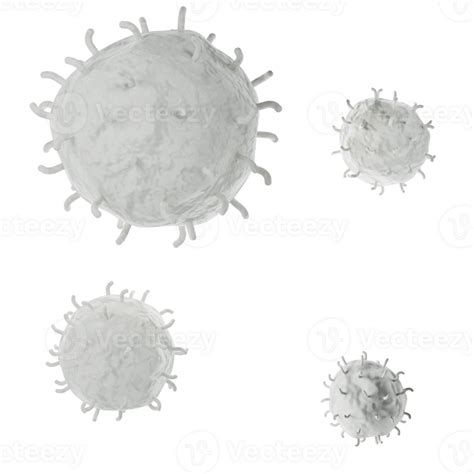 White Blood Cell D Realistic Icon Analysis Leukocytes Medical