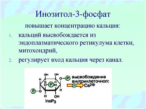 Биохимия гормонов - презентация онлайн