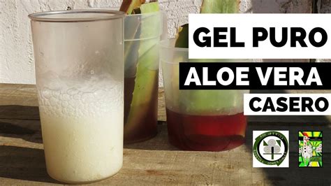 Hacer Gel De Aloe Vera Bosques Comestibles Y Semillas Libres Youtube