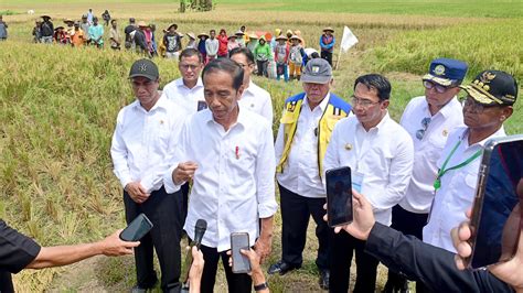 Presiden Jokowi Apresiasi Kemenangan Telak Timnas Indonesia Atas Vietnam