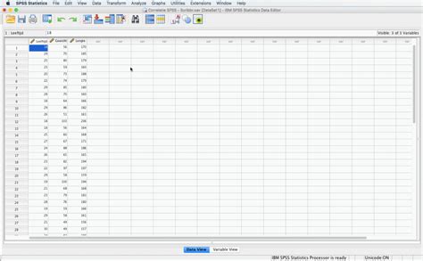 Correlatie Begrijpen En Berekenen Met SPSS En Excel Stappenplan