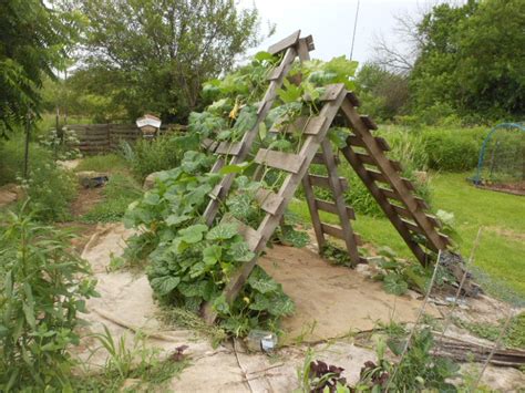 Pallet Trellis Diy Trellis Trellis Design Garden Trellis Trellis