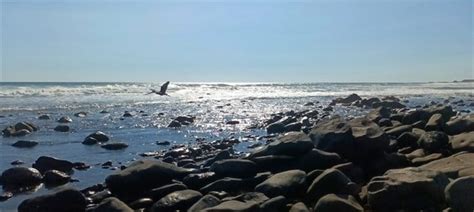 Cu Les Son Las Mejores Playas De Sinaloa Para Ver El Eclipse Solar