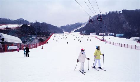 Vivaldi Park Ski Resort 1 Day Ski/Snowboard Package - Trazy, Korea's #1 Travel Guide